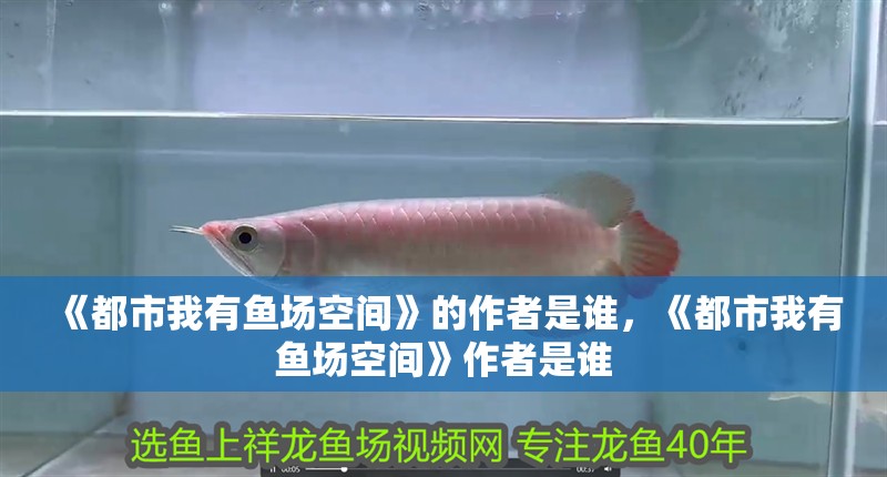《都市我有魚(yú)場(chǎng)空間》的作者是誰(shuí)，《都市我有魚(yú)場(chǎng)空間》作者是誰(shuí) 《都市我有魚(yú)場(chǎng)空間》的作者是誰(shuí)，《都市我有魚(yú)場(chǎng)空間》作者是誰(shuí) 龍魚(yú)百科