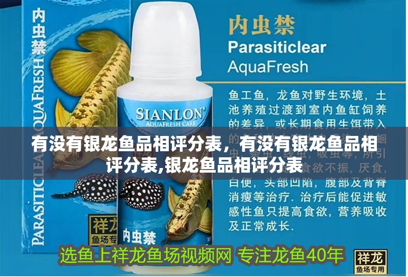 有沒有銀龍魚品相評分表，有沒有銀龍魚品相評分表,銀龍魚品相評分表 有沒有銀龍魚品相評分表，有沒有銀龍魚品相評分表,銀龍魚品相評分表 龍魚百科