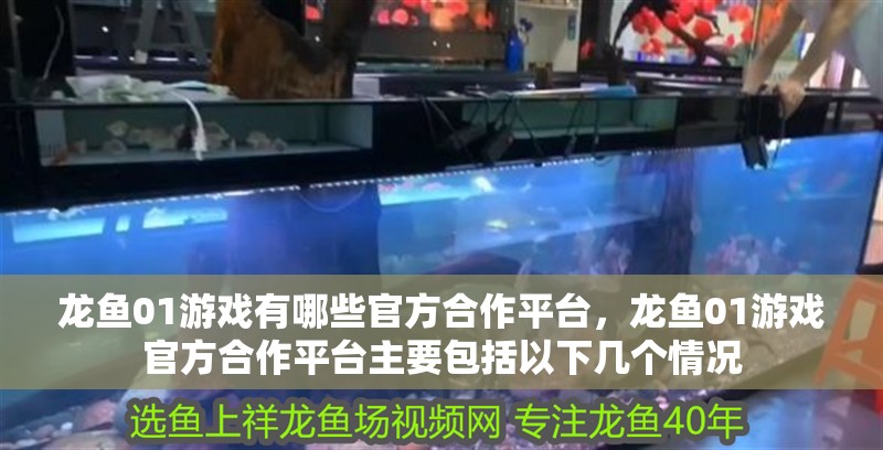 龍魚01游戲有哪些官方合作平臺，龍魚01游戲官方合作平臺主要包括以下幾個情況 龍魚01游戲有哪些官方合作平臺，龍魚01游戲官方合作平臺主要包括以下幾個情況 龍魚百科