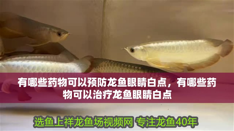 魚缸過濾器選購指南:自制魚缸過濾器魚缸上置過濾器對于養魚愛好者的必備知識 有哪些藥物可以預防龍魚眼睛白點,有哪些藥物可以治療龍魚眼睛白點 龍魚百科 有哪些藥物可以預防龍魚眼睛白點,有哪些藥物可以治療龍魚眼睛白點 有哪些藥物可以預防龍魚眼睛白點,有哪些藥物可以治療龍魚眼睛白點 龍魚百科