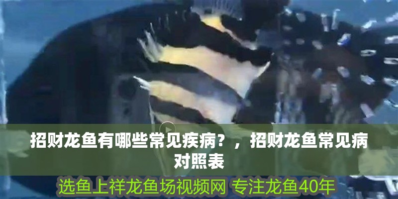 招財龍魚有哪些常見疾病？，招財龍魚常見病對照表 招財龍魚有哪些常見疾病？，招財龍魚常見病對照表 龍魚百科