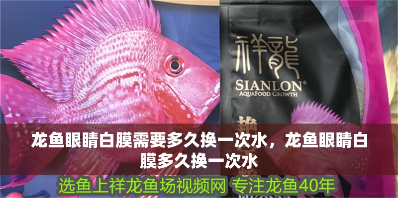 龍魚眼睛白膜需要多久換一次水，龍魚眼睛白膜多久換一次水 龍魚眼睛白膜需要多久換一次水，龍魚眼睛白膜多久換一次水 龍魚百科