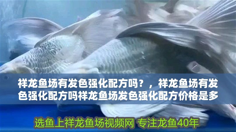 祥龍魚場有發色強化配方嗎？，祥龍魚場有發色強化配方嗎祥龍魚場發色強化配方價格是多少 祥龍魚場有發色強化配方嗎？，祥龍魚場有發色強化配方嗎祥龍魚場發色強化配方價格是多少 龍魚百科