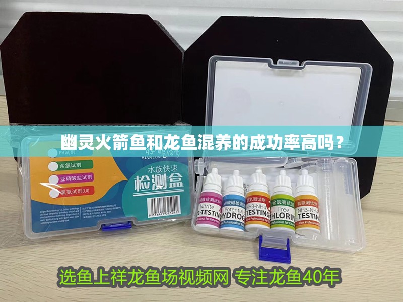 龍魚干蝦有營養嗎 幽靈火箭魚和龍魚混養的成功率高嗎? 龍魚百科 幽靈火箭魚和龍魚混養的成功率高嗎? 幽靈火箭魚和龍魚混養的成功率高嗎? 龍魚百科