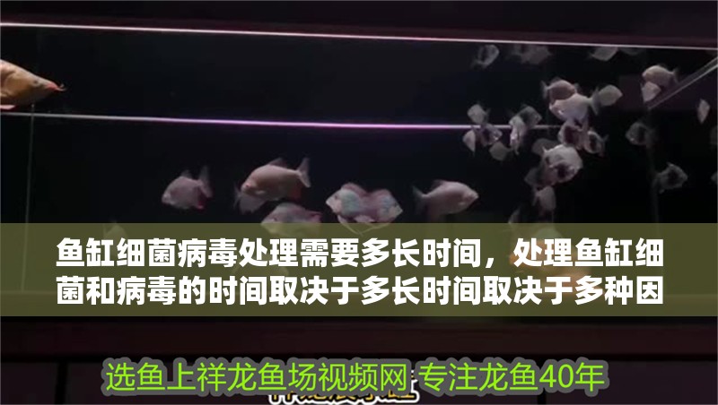 魚缸過濾器選購指南:自制魚缸過濾器魚缸上置過濾器對于養(yǎng)魚愛好者的必備知識 魚缸細菌病毒處理需要多長時間,處理魚缸細菌和病毒的時間取決于多長時間取決于多種因素 龍魚百科 魚缸細菌病毒處理需要多長時間,處理魚缸細菌和病毒的時間取決于多長時間取決于多種因素 魚缸細菌病毒處理需要多長時間,處理魚缸細菌和病毒的時間取決于多長時間取決于多種因素 龍魚百科