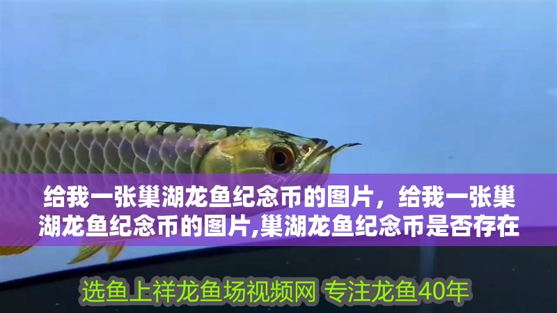 給大魚缸換水的作文:體驗給大魚缸換水的樂趣:體驗給大魚缸換水:給大魚缸換水的作文 給我一張巢湖龍魚紀念幣的圖片,給我一張巢湖龍魚紀念幣的圖片,巢湖龍魚紀念幣是否存在? 龍魚百科 給我一張巢湖龍魚紀念幣的圖片,給我一張巢湖龍魚紀念幣的圖片,巢湖龍魚紀念幣是否存在? 給我一張巢湖龍魚紀念幣的圖片,給我一張巢湖龍魚紀念幣的圖片,巢湖龍魚紀念幣是否存在? 龍魚百科