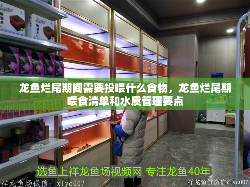 紅龍魚用黃燈烤有用嗎 龍魚爛尾期間需要投喂什么食物,龍魚爛尾期喂食清單和水質(zhì)管理要點 龍魚百科 龍魚爛尾期間需要投喂什么食物,龍魚爛尾期喂食清單和水質(zhì)管理要點 龍魚爛尾期間需要投喂什么食物,龍魚爛尾期喂食清單和水質(zhì)管理要點 龍魚百科