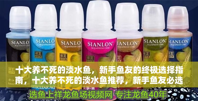 十大養不死的淡水魚,新手魚友的終極選擇指南,十大養不死的淡水魚推薦,新手魚友必選指南 龍魚百科 第1張 十大養不死的淡水魚,新手魚友的終極選擇指南,十大養不死的淡水魚推薦,新手魚友必選指南 十大養不死的淡水魚,新手魚友的終極選擇指南,十大養不死的淡水魚推薦,新手魚友必選指南 龍魚百科 第1張