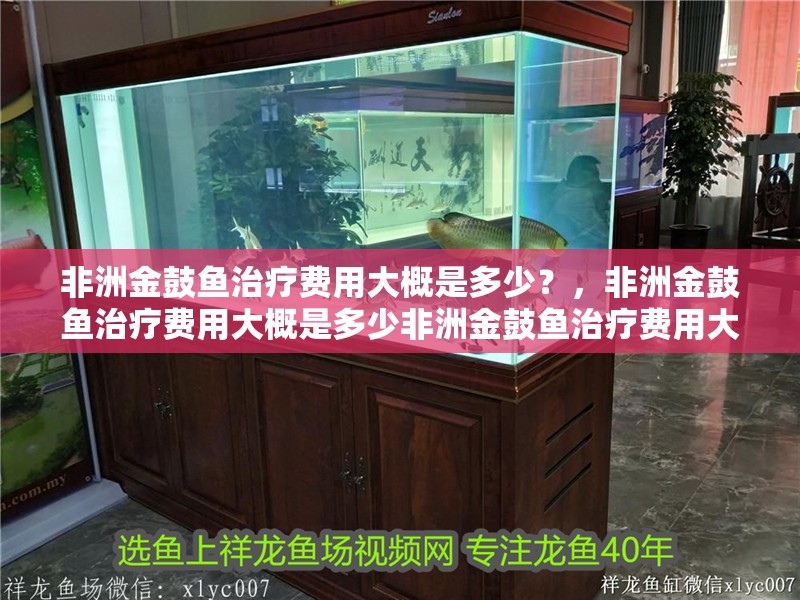 非洲金鼓魚治療費用大概是多少？，非洲金鼓魚治療費用大概是多少非洲金鼓魚治療費用大概是多少