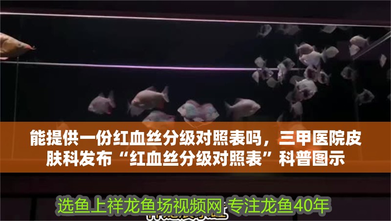 魚缸過濾器選購指南:自制魚缸過濾器魚缸上置過濾器對于養(yǎng)魚愛好者的必備知識 能提供一份紅血絲分級對照表嗎,三甲醫(yī)院皮膚科發(fā)布“紅血絲分級對照表”科普圖示 龍魚百科 能提供一份紅血絲分級對照表嗎,三甲醫(yī)院皮膚科發(fā)布“紅血絲分級對照表”科普圖示 能提供一份紅血絲分級對照表嗎,三甲醫(yī)院皮膚科發(fā)布“紅血絲分級對照表”科普圖示 龍魚百科