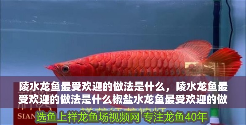 陵水龍魚最受歡迎的做法是什么，陵水龍魚最受歡迎的做法是什么椒鹽水龍魚最受歡迎的做法是什么 陵水龍魚最受歡迎的做法是什么，陵水龍魚最受歡迎的做法是什么椒鹽水龍魚最受歡迎的做法是什么 龍魚百科
