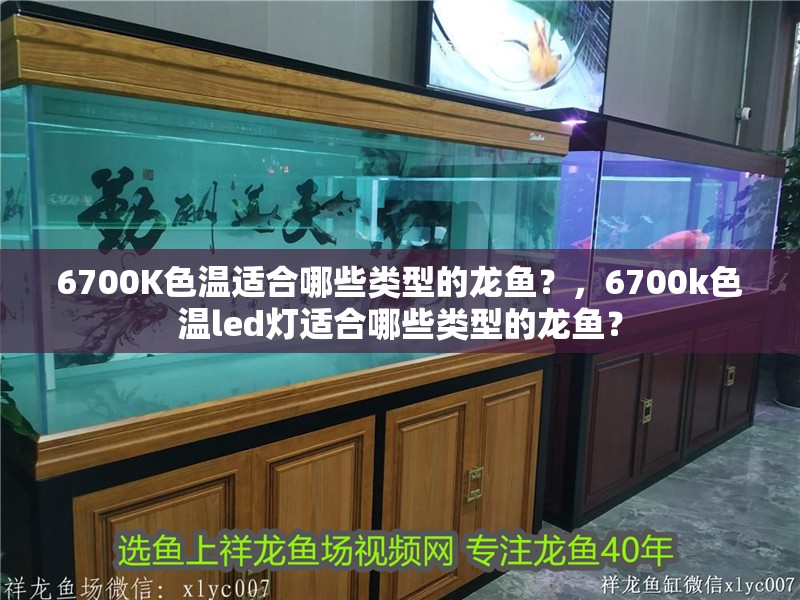 6700K色溫適合哪些類型的龍魚？，6700k色溫led燈適合哪些類型的龍魚？