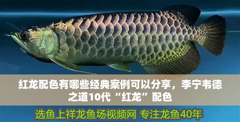 紅龍配色有哪些經典案例可以分享，李寧韋德之道10代“紅龍”配色