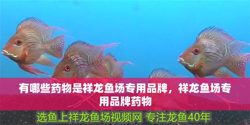 有哪些藥物是祥龍魚場(chǎng)專用品牌，祥龍魚場(chǎng)專用品牌藥物