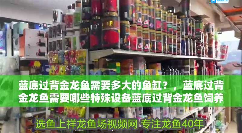 龍魚干蝦有營養嗎 藍底過背金龍魚需要多大的魚缸?,藍底過背金龍魚需要哪些特殊設備藍底過背金龍魚飼養參數清單 龍魚百科 藍底過背金龍魚需要多大的魚缸?,藍底過背金龍魚需要哪些特殊設備藍底過背金龍魚飼養參數清單 藍底過背金龍魚需要多大的魚缸?,藍底過背金龍魚需要哪些特殊設備藍底過背金龍魚飼養參數清單 龍魚百科