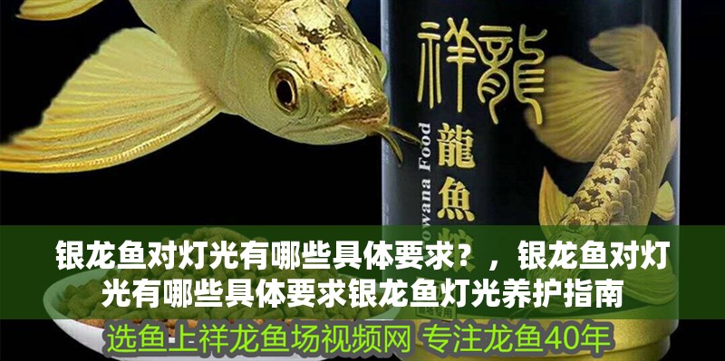 銀龍魚對燈光有哪些具體要求？，銀龍魚對燈光有哪些具體要求銀龍魚燈光養護指南 銀龍魚對燈光有哪些具體要求？，銀龍魚對燈光有哪些具體要求銀龍魚燈光養護指南 龍魚百科