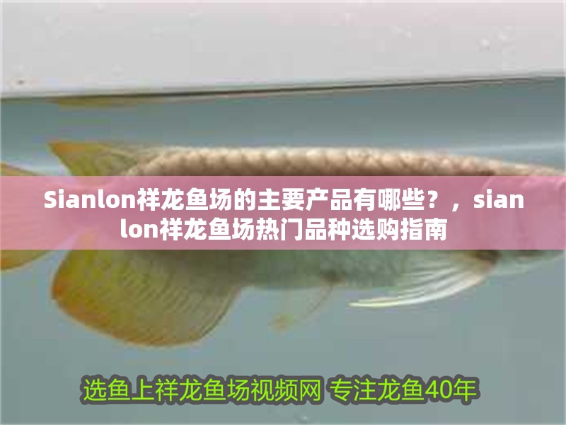 Sianlon祥龍魚場的主要產品有哪些？，sianlon祥龍魚場熱門品種選購指南 Sianlon祥龍魚場的主要產品有哪些？，sianlon祥龍魚場熱門品種選購指南 龍魚百科