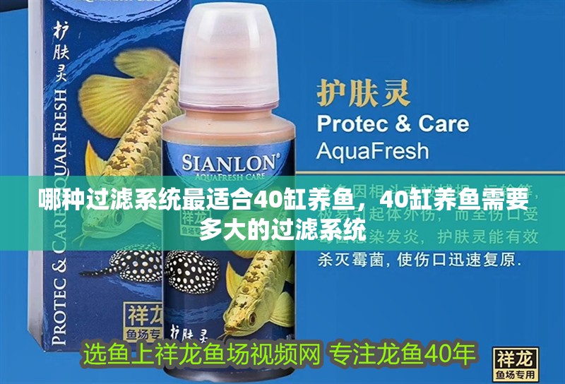 哪種過濾系統(tǒng)最適合40缸養(yǎng)魚，40缸養(yǎng)魚需要多大的過濾系統(tǒng) 哪種過濾系統(tǒng)最適合40缸養(yǎng)魚，40缸養(yǎng)魚需要多大的過濾系統(tǒng) 龍魚百科