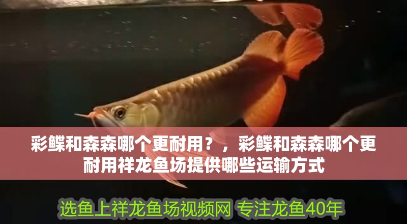 魚缸用增氧泵價(jià)格是多少:魚缸增氧機(jī)-xtrac增氧機(jī)-xtrac增氧機(jī) 彩鰈和森森哪個(gè)更耐用?,彩鰈和森森哪個(gè)更耐用祥龍魚場(chǎng)提供哪些運(yùn)輸方式 龍魚百科 彩鰈和森森哪個(gè)更耐用?,彩鰈和森森哪個(gè)更耐用祥龍魚場(chǎng)提供哪些運(yùn)輸方式 彩鰈和森森哪個(gè)更耐用?,彩鰈和森森哪個(gè)更耐用祥龍魚場(chǎng)提供哪些運(yùn)輸方式 龍魚百科