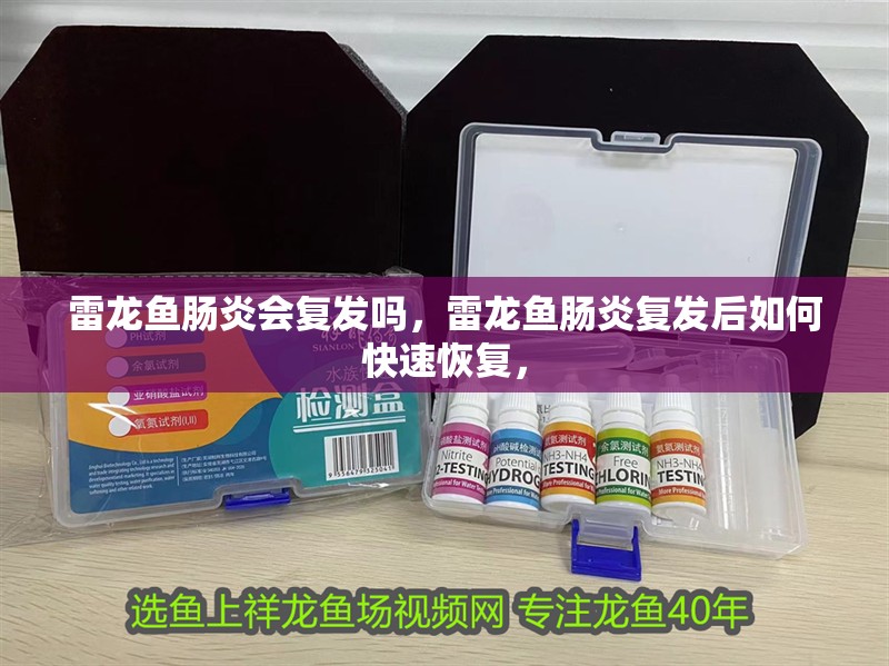 我的虎魚真菌感染了要怎么處理 雷龍魚腸炎會(huì)復(fù)發(fā)嗎,雷龍魚腸炎復(fù)發(fā)后如何快速恢復(fù), 龍魚百科 雷龍魚腸炎會(huì)復(fù)發(fā)嗎,雷龍魚腸炎復(fù)發(fā)后如何快速恢復(fù), 雷龍魚腸炎會(huì)復(fù)發(fā)嗎,雷龍魚腸炎復(fù)發(fā)后如何快速恢復(fù), 龍魚百科