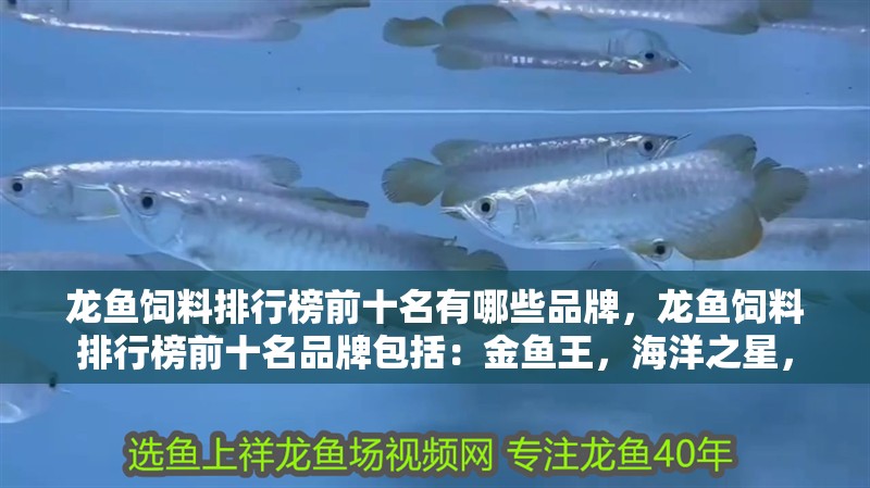 龍魚干蝦有營養嗎 龍魚飼料排行榜前十名有哪些品牌,龍魚飼料排行榜前十名品牌包括:金魚王,海洋之星, 龍魚百科 龍魚飼料排行榜前十名有哪些品牌,龍魚飼料排行榜前十名品牌包括:金魚王,海洋之星, 龍魚飼料排行榜前十名有哪些品牌,龍魚飼料排行榜前十名品牌包括:金魚王,海洋之星, 龍魚百科