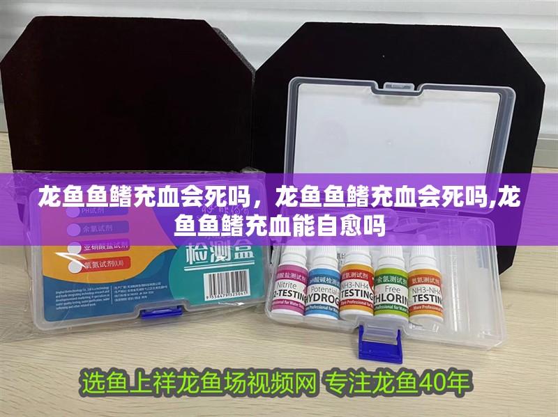 龍魚魚鰭充血會死嗎，龍魚魚鰭充血會死嗎,龍魚魚鰭充血能自愈嗎 龍魚魚鰭充血會死嗎，龍魚魚鰭充血會死嗎,龍魚魚鰭充血能自愈嗎 龍魚百科