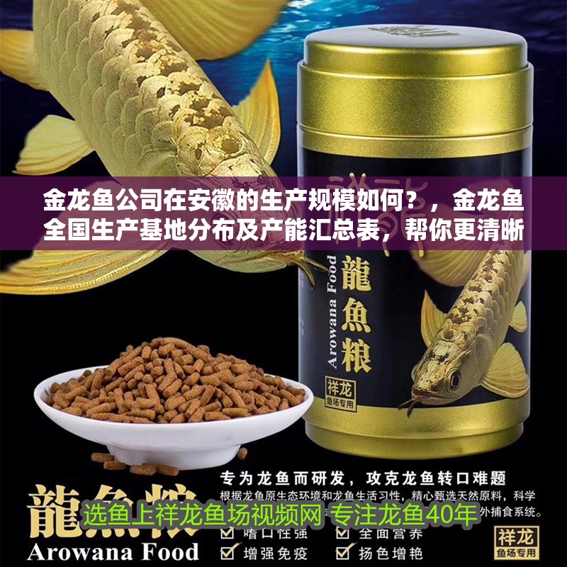 金龍魚公司在安徽的生產(chǎn)規(guī)模如何？，金龍魚全國生產(chǎn)基地分布及產(chǎn)能匯總表，幫你更清晰地了解產(chǎn)業(yè)布局 金龍魚公司在安徽的生產(chǎn)規(guī)模如何？，金龍魚全國生產(chǎn)基地分布及產(chǎn)能匯總表，幫你更清晰地了解產(chǎn)業(yè)布局 龍魚百科