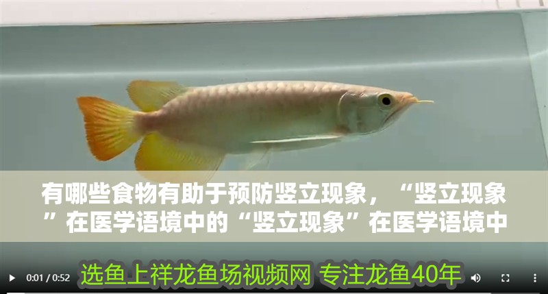 魚缸用增氧泵價(jià)格是多少:魚缸增氧機(jī)-xtrac增氧機(jī)-xtrac增氧機(jī) 龍能辟邪嗎 龍魚百科 龍能辟邪嗎 龍能辟邪嗎 龍魚百科