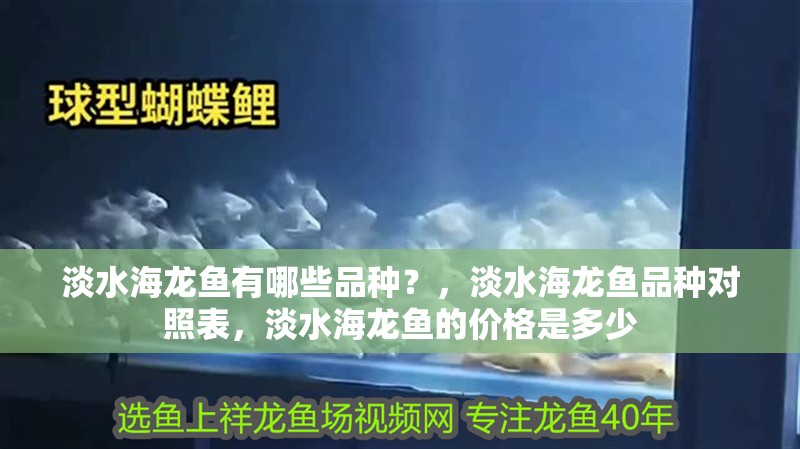 淡水海龍魚有哪些品種？，淡水海龍魚品種對(duì)照表，淡水海龍魚的價(jià)格是多少 淡水海龍魚有哪些品種？，淡水海龍魚品種對(duì)照表，淡水海龍魚的價(jià)格是多少 龍魚百科