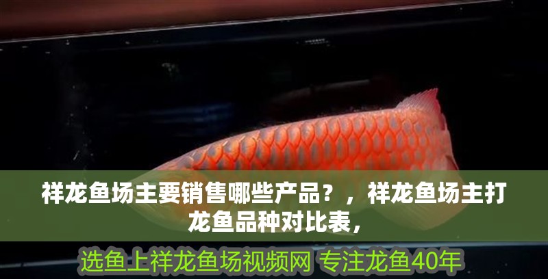 祥龍魚場主要銷售哪些產品？，祥龍魚場主打龍魚品種對比表， 祥龍魚場主要銷售哪些產品？，祥龍魚場主打龍魚品種對比表， 龍魚百科