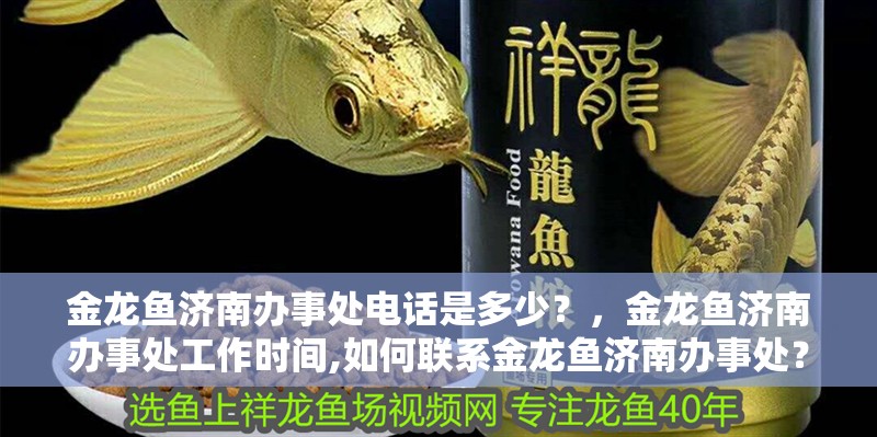 金龍魚濟南辦事處電話是多少？，金龍魚濟南辦事處工作時間,如何聯系金龍魚濟南辦事處？ 金龍魚濟南辦事處電話是多少？，金龍魚濟南辦事處工作時間,如何聯系金龍魚濟南辦事處？ 龍魚百科