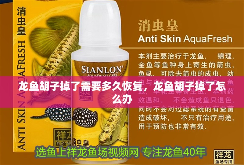 龍魚胡子掉了需要多久恢復(fù)，龍魚胡子掉了怎么辦 龍魚胡子掉了需要多久恢復(fù)，龍魚胡子掉了怎么辦 龍魚百科