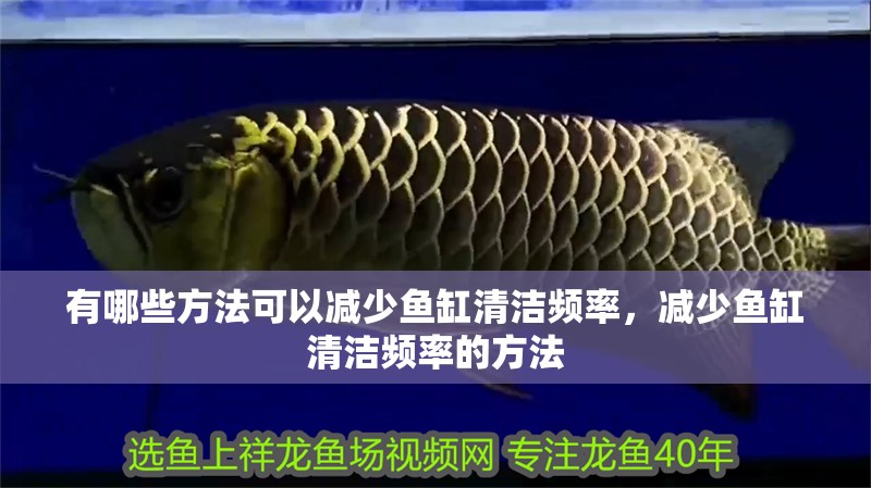 有哪些方法可以減少魚缸清潔頻率，減少魚缸清潔頻率的方法 有哪些方法可以減少魚缸清潔頻率，減少魚缸清潔頻率的方法 龍魚百科