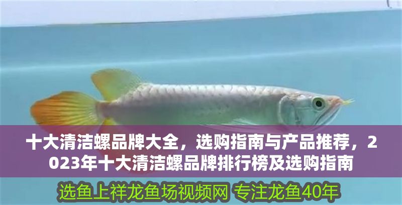 十大清潔螺品牌大全，選購指南與產品推薦，2023年十大清潔螺品牌排行榜及選購指南