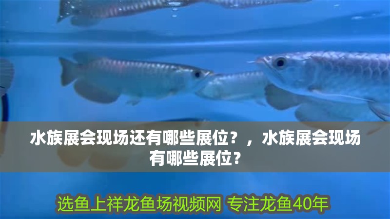 水族展會現場還有哪些展位？，水族展會現場有哪些展位？ 水族展會現場還有哪些展位？，水族展會現場有哪些展位？ 龍魚百科
