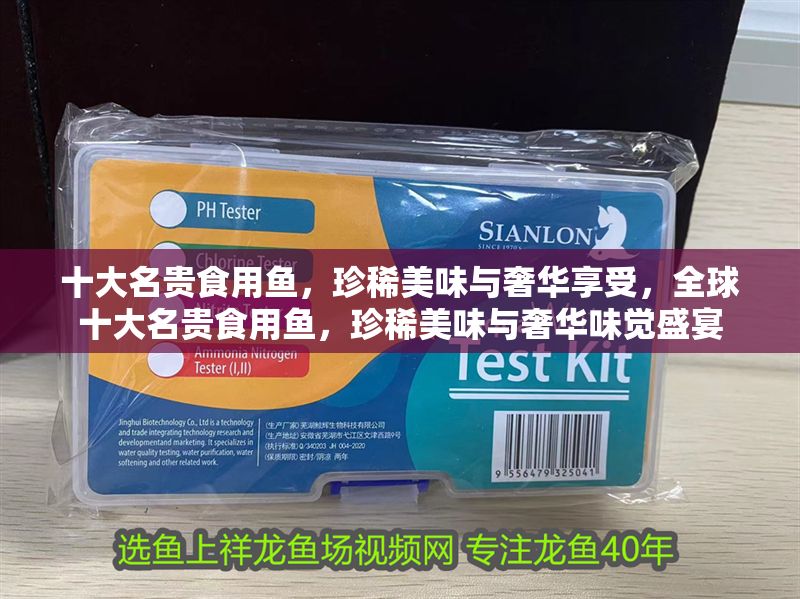 十大名貴食用魚，珍稀美味與奢華享受，全球十大名貴食用魚，珍稀美味與奢華味覺盛宴