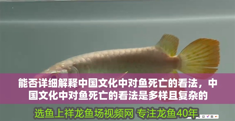 能否詳細解釋中國文化中對魚死亡的看法，中國文化中對魚死亡的看法是多樣且復雜的 能否詳細解釋中國文化中對魚死亡的看法，中國文化中對魚死亡的看法是多樣且復雜的 龍魚百科