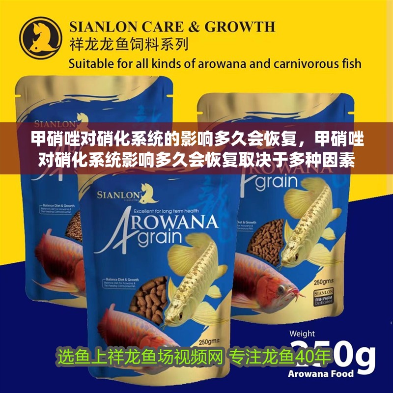 甲硝唑對硝化系統的影響多久會恢復，甲硝唑對硝化系統影響多久會恢復取決于多種因素 甲硝唑對硝化系統的影響多久會恢復，甲硝唑對硝化系統影響多久會恢復取決于多種因素 龍魚百科