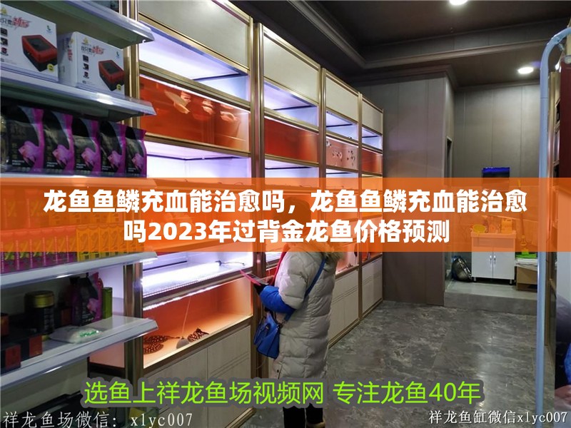 龍魚魚鱗充血能治愈嗎，龍魚魚鱗充血能治愈嗎2023年過背金龍魚價格預測 龍魚魚鱗充血能治愈嗎，龍魚魚鱗充血能治愈嗎2023年過背金龍魚價格預測 龍魚百科