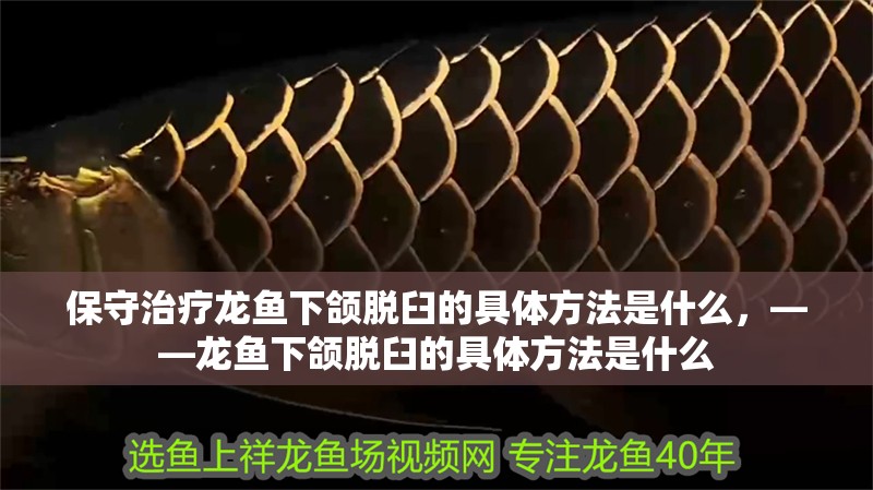 保守治療龍魚下頜脫臼的具體方法是什么，——龍魚下頜脫臼的具體方法是什么 保守治療龍魚下頜脫臼的具體方法是什么，——龍魚下頜脫臼的具體方法是什么 龍魚百科