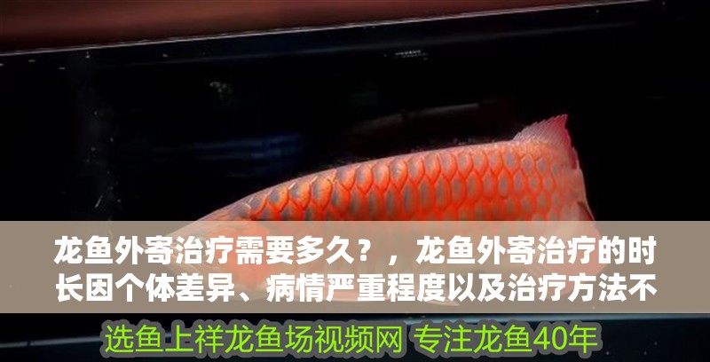 龍魚外寄治療需要多久？，龍魚外寄治療的時長因個體差異、病情嚴重程度以及治療方法不同而有所變化 龍魚外寄治療需要多久？，龍魚外寄治療的時長因個體差異、病情嚴重程度以及治療方法不同而有所變化 龍魚百科