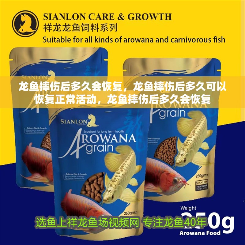 龍魚摔傷后多久會恢復，龍魚摔傷后多久可以恢復正常活動，龍魚摔傷后多久會恢復