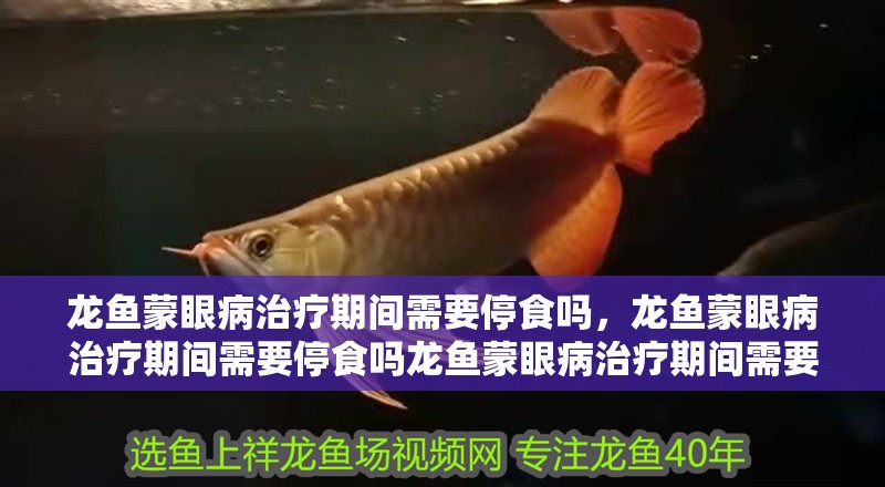 龍魚蒙眼病治療期間需要停食嗎，龍魚蒙眼病治療期間需要停食嗎龍魚蒙眼病治療期間需要停食嗎 龍魚蒙眼病治療期間需要停食嗎，龍魚蒙眼病治療期間需要停食嗎龍魚蒙眼病治療期間需要停食嗎 龍魚百科