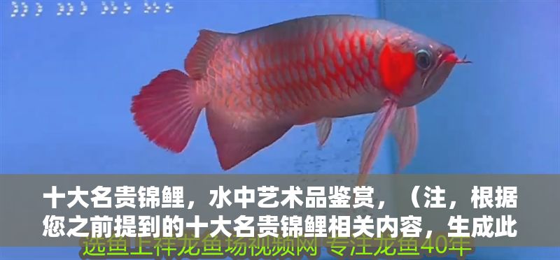 十大名貴錦鯉，水中藝術(shù)品鑒賞，（注，根據(jù)您之前提到的十大名貴錦鯉相關(guān)內(nèi)容，生成此標(biāo)題。若需調(diào)整方向，可補(bǔ)充說(shuō)明具體內(nèi)容要求。）