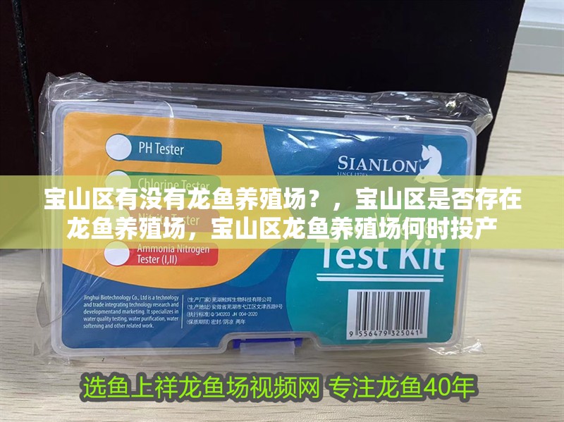 紅龍魚用黃燈烤有用嗎 寶山區有沒有龍魚養殖場?,寶山區是否存在龍魚養殖場,寶山區龍魚養殖場何時投產 龍魚百科 寶山區有沒有龍魚養殖場?,寶山區是否存在龍魚養殖場,寶山區龍魚養殖場何時投產 寶山區有沒有龍魚養殖場?,寶山區是否存在龍魚養殖場,寶山區龍魚養殖場何時投產 龍魚百科
