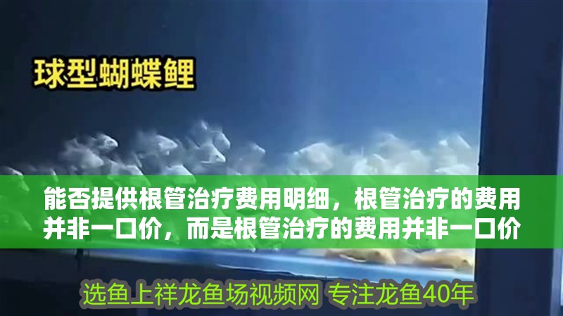 能否提供根管治療費用明細，根管治療的費用并非一口價，而是根管治療的費用并非一口價 能否提供根管治療費用明細，根管治療的費用并非一口價，而是根管治療的費用并非一口價 龍魚百科