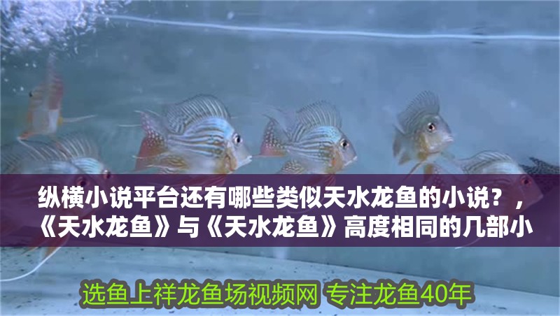 縱橫小說平臺還有哪些類似天水龍魚的小說？，《天水龍魚》與《天水龍魚》高度相同的幾部小說 縱橫小說平臺還有哪些類似天水龍魚的小說？，《天水龍魚》與《天水龍魚》高度相同的幾部小說 龍魚百科