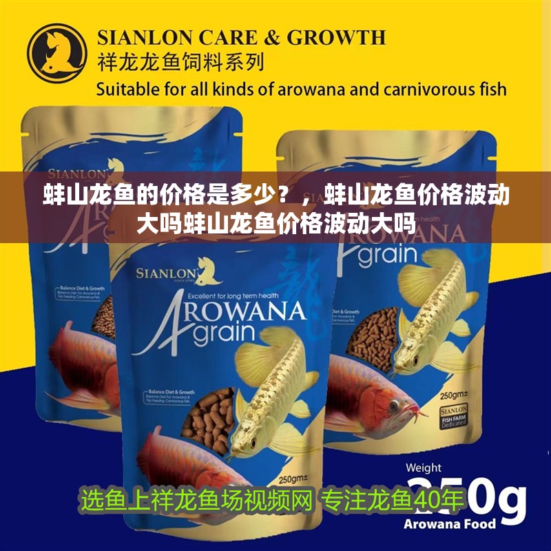 蚌山龍魚的價格是多少？，蚌山龍魚價格波動大嗎蚌山龍魚價格波動大嗎 蚌山龍魚的價格是多少？，蚌山龍魚價格波動大嗎蚌山龍魚價格波動大嗎 龍魚百科