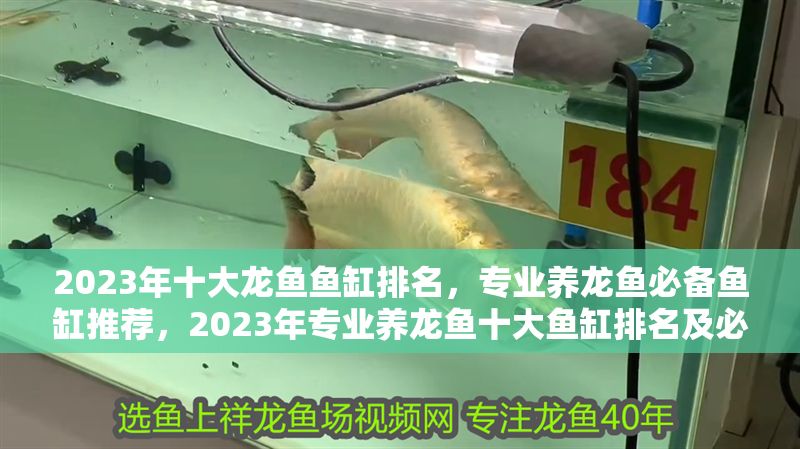 2023年十大龍魚魚缸排名，專業養龍魚必備魚缸推薦，2023年專業養龍魚十大魚缸排名及必備推薦 2023年十大龍魚魚缸排名，專業養龍魚必備魚缸推薦，2023年專業養龍魚十大魚缸排名及必備推薦 龍魚百科 第1張