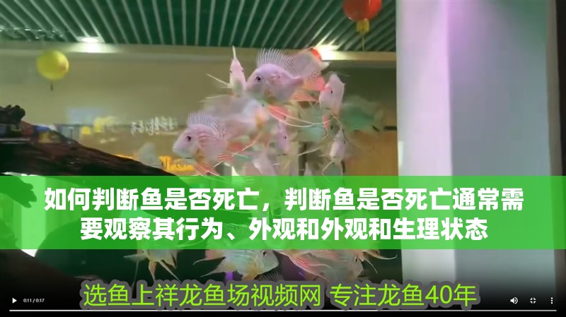 如何判斷魚是否死亡，判斷魚是否死亡通常需要觀察其行為、外觀和外觀和生理狀態 如何判斷魚是否死亡，判斷魚是否死亡通常需要觀察其行為、外觀和外觀和生理狀態 龍魚百科